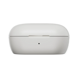 QuietComfort Earbuds - Boîtier de charge
